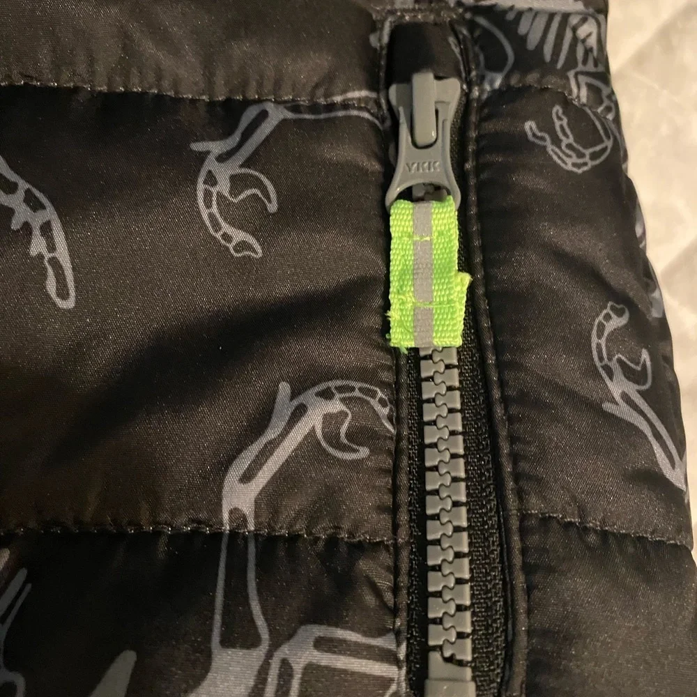 Oshkosh Winter Puffer Jacket/Coat w/Hood & Dinosaur Print